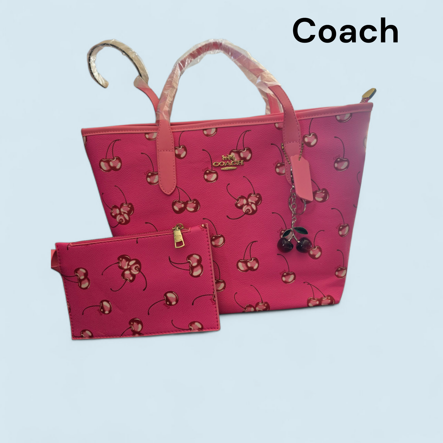 Set cartera coach