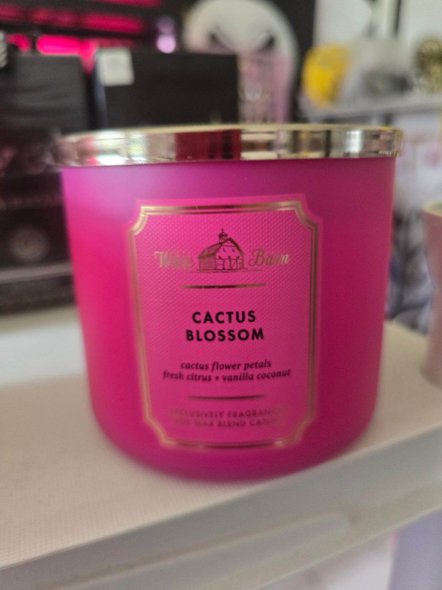 Vela catus blossom