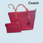 Set cartera coach