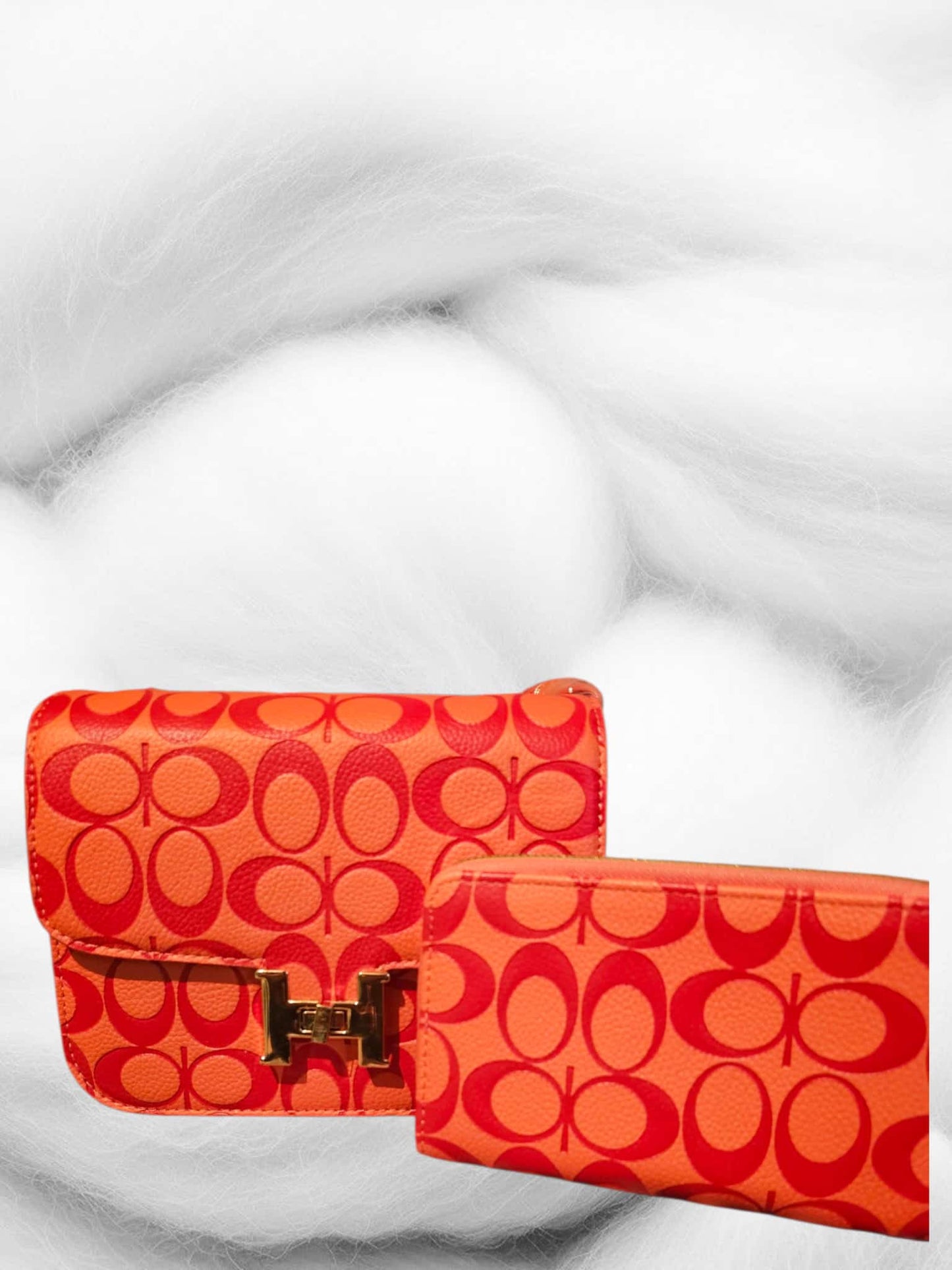 Set cartera con wallet